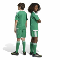 adidas Tiro 26 Competition Voetbalbroekje Kids Groen Wit