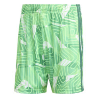 adidas Tiro 26 Competition Keeperstenue Korte Mouwen Lichtgroen