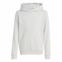 adidas Entrada 26 Hoodie Joggingpak Kids Grijs Wit