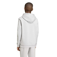 adidas Entrada 26 Hoodie Joggingpak Kids Grijs Wit