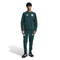 adidas Mexico Tiro Travel Crew Sweater 2026-2028 Green White