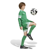 adidas Squadra 25 Voetbalshirt Lange Mouwen Kids Groen Wit