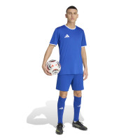 adidas Entrada 26 Football Shirt Blue White