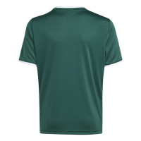 adidas Entrada 26 Kids Football Shirt Dark Green White