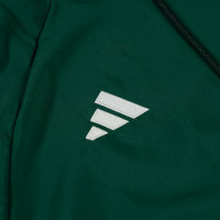 PEC Zwolle EST 1910 Lifestyle Jacket 2025-2026