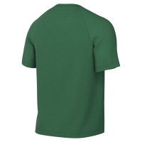 Nike Dri-FIT Park VIII Voetbalshirt Donkergroen Wit