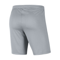 Nike Dri-FIT Park III Voetbalbroekje Kids Donkergrijs