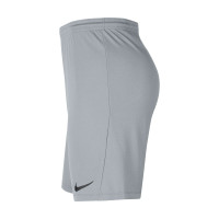Nike Dri-FIT Park III Voetbalbroekje Kids Donkergrijs