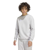 adidas Entrada 26 Crew Sweater Joggingpak Kids Grijs Wit