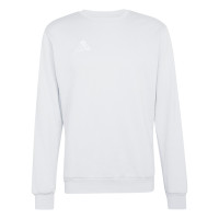 adidas Entrada 26 Crew Sweater Joggingpak Grijs Wit