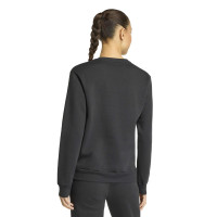 adidas Entrada 26 Crew Sweater Women's Jogging Suit Black White