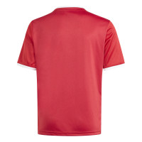 adidas Entrada 26 GFX Voetbalshirt Kids Rood Wit
