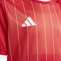 adidas Entrada 26 GFX Voetbalshirt Kids Rood Wit