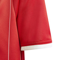 adidas Entrada 26 GFX Voetbalshirt Kids Rood Wit