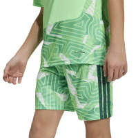 adidas Tiro 26 Competition Goalkeeper Short Sleeve Jersey Kids Light Green