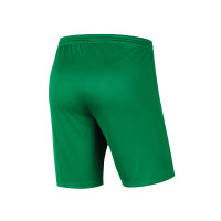 VV 't Goy Keepersshort Junior Groen