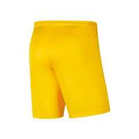 SV Terheijden Keepershort Senior Geel