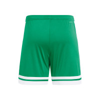 Zeeburgia Keepersshort Groen