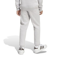 adidas Entrada 26 Hoodie Joggingpak Kids Grijs Wit