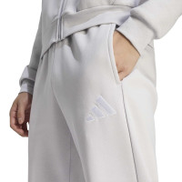 adidas Entrada 26 Joggingsbroek Grijs Wit