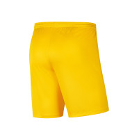 AVV Swift Keepersshort Senior Geel