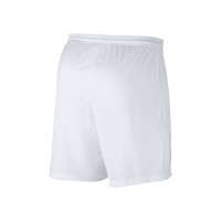 GZV Watergras Home Short