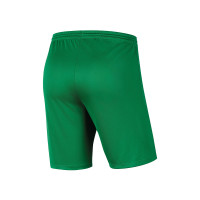 SPV'81 Senior Green Training Shorts