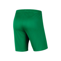 VV Schoonhoven Keepersshort Junior Groen