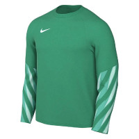Nike Dri-FIT Park Goalkeeper V Long Sleeve Goalkeeper Shirt Kids Light Green White