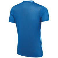 LVV Football Factory Trainingsshirt Universiteit Leiden Senior Blauw