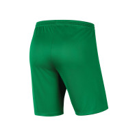 SV Donk Keepersshort Senior Groen