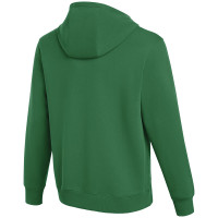 SVF Cothen Hoodie Senior Groen