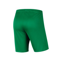 Alexandria 66 Keepersshort Junior Groen