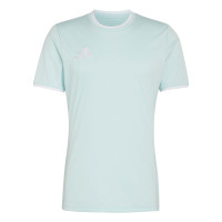 adidas Entrada 26 Voetbaltenue Mintgroen Zwart