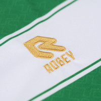 Amstelveen Heemraad Wedstrijdshirt Jeugd Dames Wit Groen