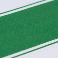 Amstelveen Heemraad Wedstrijdshirt Jeugd Dames Wit Groen