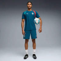 PUMA Portugal Training Short 2026-2028 Teal White