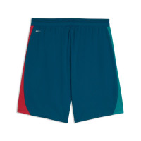 PUMA Portugal Training Short 2026-2028 Teal White