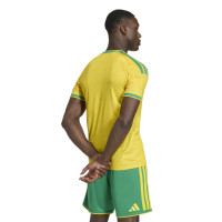 adidas Zuid-Afrika Thuisshirt 2026-2028