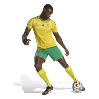 adidas Zuid-Afrika Thuisshirt 2026-2028