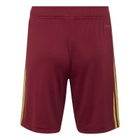 adidas Spain Away 2026-2028 Kids