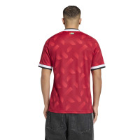 adidas Verenigde Arabische Emiraten Uitshirt 2026-2028