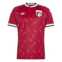 adidas Verenigde Arabische Emiraten Uitshirt 2026-2028