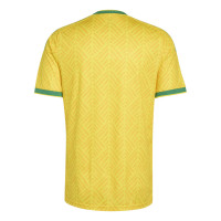 adidas Zuid-Afrika Thuisshirt 2026-2028