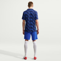 Nike Frankrijk Thuisshirt Authentic 2026-2028