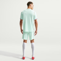 Nike Frankrijk Uitshirt Authentic 2026-2028