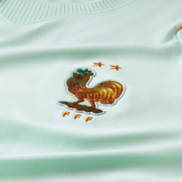 Nike Frankrijk Uitshirt 2026-2028