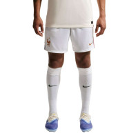 Nike Frankrijk Thuisset 2026-2028