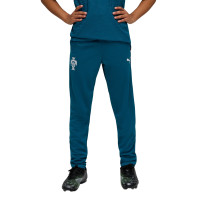 PUMA Portugal Tracksuit 1/4-Zip 2026-2028 Kids Teal White