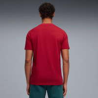 PUMA Marokko Pumatech Zomerset 2026-2028 Rood Groen Goud